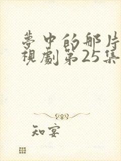 梦中的那片海电视剧第25集封面