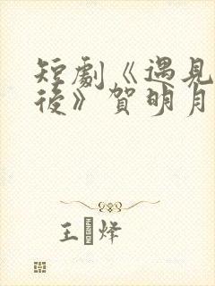 短剧《遇见你之后》贺明月在线观看