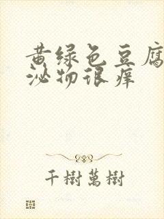 黄绿色豆腐渣分泌物很痒