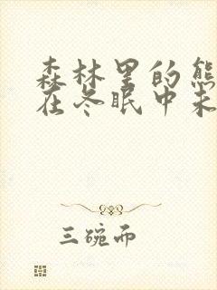 森林里的熊先生在冬眠中未增减版漫画封面