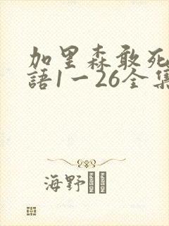 加里森敢死队国语1一26全集吧