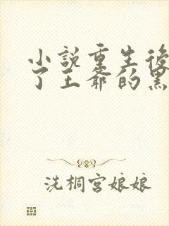 小说重生后我成了王爷的黑月光免费