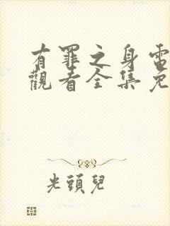 有罪之身电视剧观看全集免费