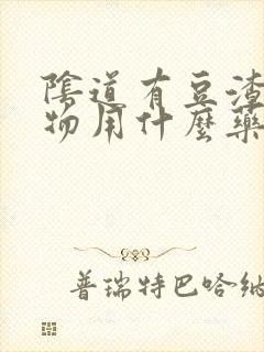 阴道有豆渣分泌物用什么药