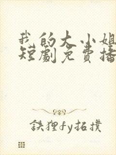 我的大小姐老婆短剧免费播放全集