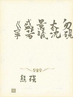 《盛景太匆匆》宁若曦沈砚舟30