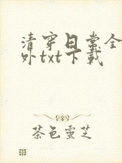 清穿日常全文番外txt下载