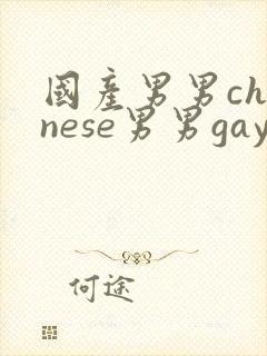 国产男男chinese男男gaygay网站