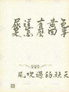 尿道有黄色液体是怎么回事