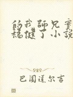 的我师兄实在太稳健了小说封面