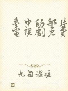 梦中的那片海 电视剧免费观看