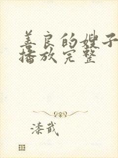 善良的嫂子高清播放完整