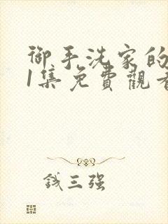 御手洗家的破洞1集免费观看在线封面