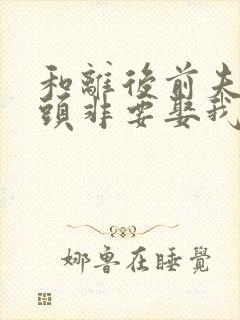 和离后前夫死对头非要娶我小说免费阅读