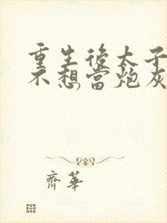 重生后太子妃她不想当炮灰小说封面