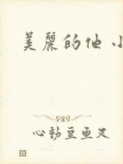 美丽的他 小说