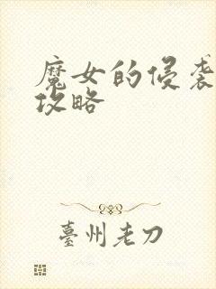 魔女的侵袭库洛攻略封面