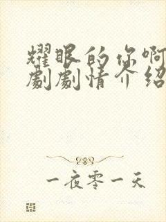 耀眼的你啊电视剧剧情介绍