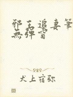 邪王追妻笔趣阁无弹窗