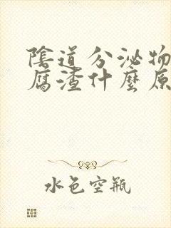 阴道分泌物像豆腐渣什么原因封面