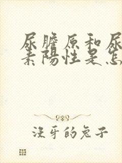 尿胆原和尿胆红素阳性是怎么回事