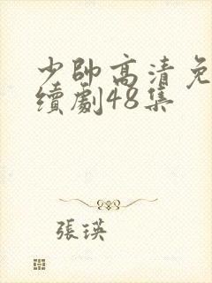 少帅高清免费连续剧48集