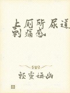 上厕所尿道口有刺痛感