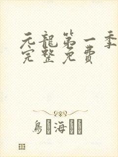 元龙第一季1集完整免费封面