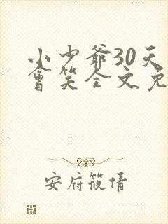 小少爷30天后会笑全文免费阅读