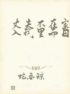 丈夫不在家时进入我里面日剧封面