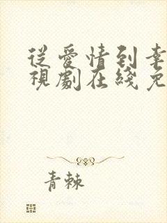 从爱情到幸福电视剧在线免费观看