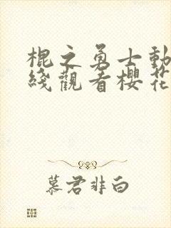 棍之勇士动漫在线观看樱花动漫