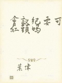 会议纪要可以出红头吗封面