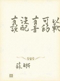 有没有可以给小说配音的软件