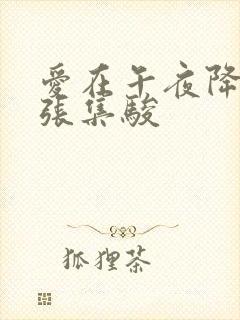 爱在午夜降临前张集骏