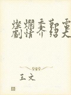 灿烂季节电视剧剧情介绍大结局封面