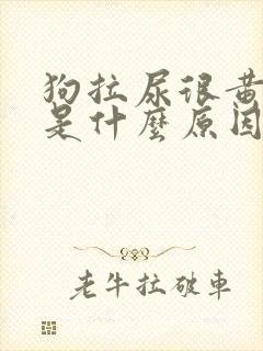 狗拉尿很黄很臭是什么原因