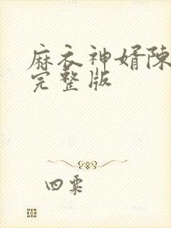 麻衣神婿陈黄皮完整版