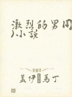 激烈的男同(h)小说