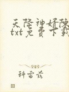天降神婿陈黄皮txt免费下载