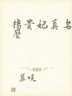 杨贵妃真名叫什么