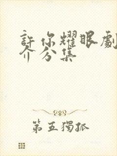 许你耀眼剧情简介分集封面