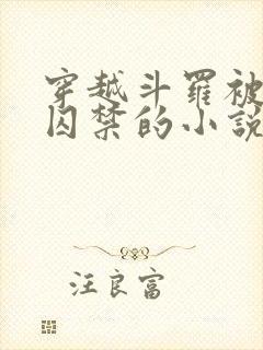 穿越斗罗被病娇囚禁的小说封面