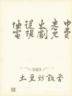 他从火光中走来电视剧免费观看策驰封面