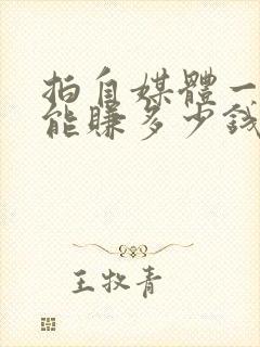 拍自媒体一个月能赚多少钱封面