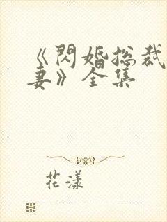 《闪婚总裁契约妻》全集