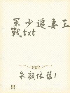 军少追妻王牌特战txt