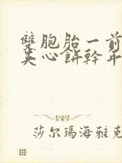 双胞胎一前一后夹心饼干年下