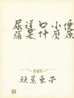 尿道口小便时刺痛是什么原因引起的