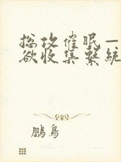 总攻催眠——情欲收集系统小说